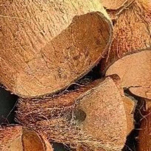 Coques de noix de coco brutes concassées de qualité supérieure A, durables, en provenance d'Inde, pour charbon actif et technologies environnementales - Product Image 2