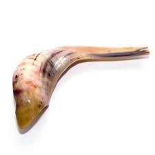 Cuerno de Shofar Natural Hecho a Mano de Calidad Superior, Pulido, para Rituales Religiosos, Estilo Animal y Bajo Precio - Product Image 2