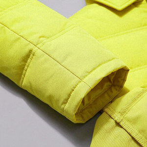 Proveedor de Chaquetas Acolchadas con Capucha y Logotipo Personalizado al por Mayor, Chaqueta de Invierno Gruesa y Cálida - Product Image 3