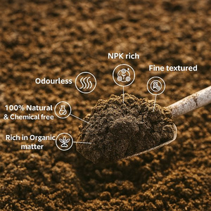 Abono en polvo de estiércol de vaca con bajo MOQ y alto contenido nutritivo para plantaciones de dátiles en Kuwait a precio asequible - Product Image 6
