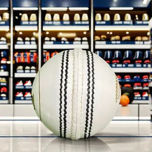 कस्टम लोगो क्रिकेट बॉल वैयक्तिकृत खेल उपकरण