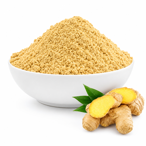 AQUA VRIKSHA Poudre de gingembre premium |   Poudre de gingembre séchée 100% naturelle |   Fournisseur d'épices de qualité export - Product Image 2