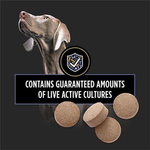 Tabletas probióticas para perros y gatos, suplemento de salud digestiva y soporte intestinal, aumenta la inmunidad y la digestión, Exportación de etiqueta privada - Product Image 6