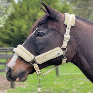 Cómodo Cabestro de Nailon Acolchado de Forro Polar Completo para Caballo, con Acolchado de Visón, Accesorio Ecuestre Multicolor, Cabestro de Carreras - Product Image 2