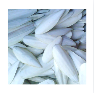Os de Seiche Entiers Séchés Premium 20-40cm, Riche en Protéines, Fruits de Mer de 1ère Qualité du Vietnam, Durée de Conservation de 2 Ans, pour l'Entretien des Becs d'Oiseaux, Vente en Gros - Product Image 1