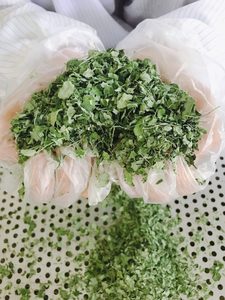 BEST SELLING Viet Delta Moringa Séché 100% Naturel (Feuilles/Racines/Graines) Soutien Détoxifiant Hépatique Qualité Export Emballage en Vrac Durée de Conservation 6-12 Mois - Product Image 2