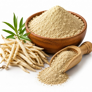 Extracto de Raíz de Chlorophytum Borivilianum en Polvo de Alta Calidad, Extracto Botánico Herbal Natural, Proveedor Mayorista - Product Image 1