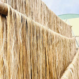 Fibre de banane 100 % écologique, extraite du pseudostème de banane, pour la fabrication de fils, de cordes et de tapis - Product Image 4