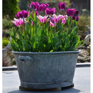 Ensemble de deux pots de fleurs en zinc de taille moyenne pour jardin et balcon, seau en zinc métallique personnalisé - Product Image 5