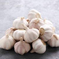 Ail frais biologique 6,0 cm, blanc pur, qualité supérieure, nouvelle récolte, Chine, emballage de 10 kg, durée de conservation de 24 mois