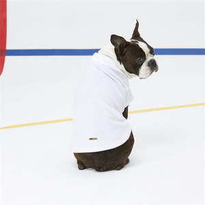 ODM Turn-down Collar Solid White Polo t Shirt <b>Dog</b> With Button - Product Image 3