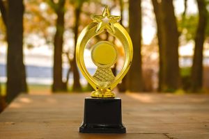 Trophée métallique personnalisé indien de qualité supérieure pour récompenses d'employés, réunions d'entreprise et événements professionnels – Trophée de performance au meilleur prix - Product Image 6
