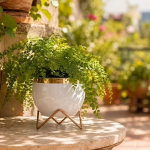 Macetas de Lujo Blancas y Doradas con Soporte Metálico, Macetas Decorativas para Plantas de Interior, Sala de Estar, Oficina - Product Image 5