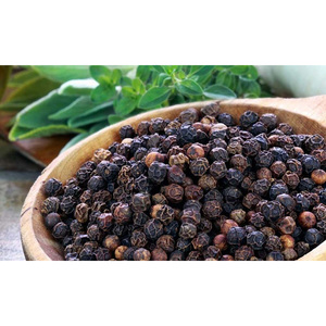 พริกไทยดำเกรดอุตสาหกรรมสำหรับการผลิตอาหาร ส่งออกจำนวนมาก - Product Image 4