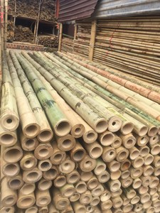เสาไม้ไผ่ดิบธรรมชาติเสาตรงไม้ไผ่จากปลูกป่าและบ้านเกิดเสาไม้ไผ่ขนาดใหญ่ - Product Image 6
