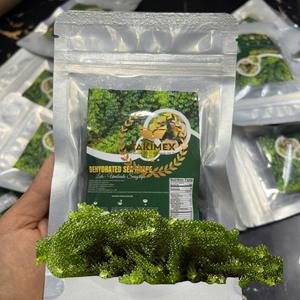สาหร่ายแห้งขายดี 100% สาหร่ายแห้งชนิดสาหร่ายองุ่นทะเล (Caulerpa Lentillifera/Umibudo Lato) Takimex Global Vietnam Export - Product Image 1