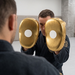 Cibles de frappe en cuir de vachette doré Dumela – Équipement d'entraînement durable pour les arts martiaux - Product Image 2