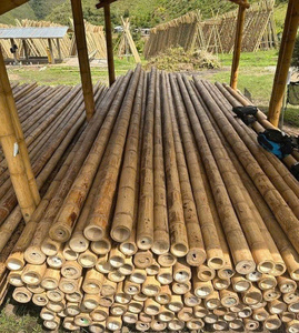 Poteaux en bambou naturel de qualité industrielle, longueur personnalisée, piquets en bambou - Product Image 4