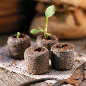 Pellets de fibra de coco, pellets de coco coir, pellets de turba de coco, pellets de coir, sustrato de coco, sustrato comprimido / Sra. Alina - Product Image 4