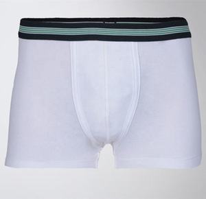 SALUBRIOUS SPORTS Men's Mid-Rise Summer Sports Underwear Thin Anti-Bacterial Quick Dry Eco-Friendly Cotton Seamless <b>Boxer</b> Shorts - Product Image 1