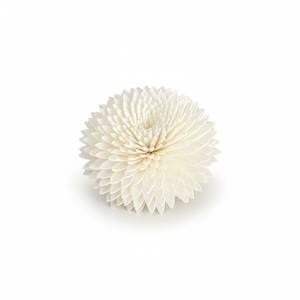 ดอกเจอร์เบอร์ราโซล่า ขนาด 6.5 ซม. ก้านไฟเบอร์จากต้นเซสบานีอา สำหรับอโรมาเธอราพี ทำด้วยมือ เป็นมิตรต่อสิ่งแวดล้อม แบบเจาะรู สำหรับตกแต่ง GS001 Phra - Product Image 4