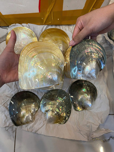 Pearl Of Mother Shell Plate Iridescent Vietnam Material For Decorative Crafts Jewelry Inlay Plate Manufacturer Size 10-12cm - Product Image 4