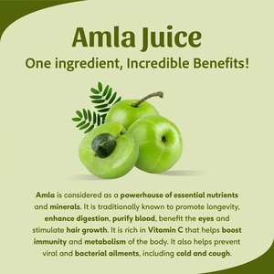 Aceite Capilar Vegano Premium de Amla, Fórmula Nutritiva a Base de Plantas para un Cabello Más Fuerte y con Mayor Volumen, 2 en 1, Reparación de Daños y Pérdida de Cabello - Product Image 2