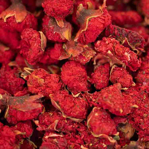 Fleurs de grenade naturellement préservées, transformées sans embellissement artificiel pour conserver leur beauté authentique et leur valeur décorative - Product Image 4