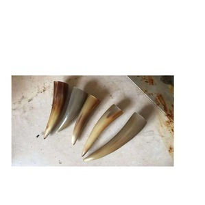 Pointe de corne de buffle naturelle polie écologique ILAHI, couleur naturelle, haute qualité, objet de collection artistique - Product Image 1