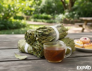 Hojas de guanábana secas 100% naturales para té - Product Image 6