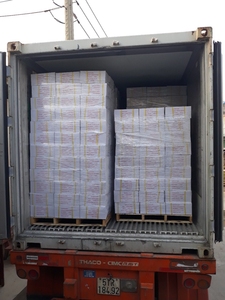 Jugo de Maracuyá Congelado de Primera Calidad, Procesado en Vietnam, 100% Fruta Natural, Sin Aditivos, Estándar de Exportación, Etiqueta OEM, IQF - Product Image 6