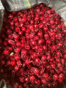 Fleur d'hibiscus séchée biologique de haute qualité pour la minceur, provenant de sources durables, thé aux herbes Sabdariffa vibrant en vrac - Product Image 6