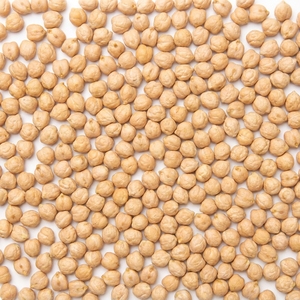 Garbanzos Kabuli Premium de 8-10 mm para Hummus y Enlatado, aptos para plantas de procesamiento de alimentos enlatados, deshidratación y envasado - Product Image 6