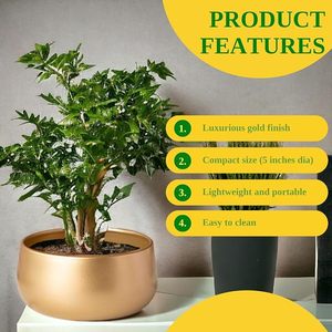 Modern Gold Metal Flower <b>Pot</b> <b>Small</b> Round Desktop Planter for Succulents - Product Image 6