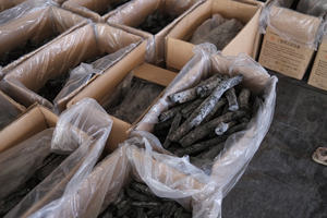Carbón Vegetal de Madera de Lichí OEM, Briquetas Hexagonales, Combustible para Barbacoa, Alto Contenido de Carbono, Larga Duración, Baja Humedad 5%, 7000-8000 Kcal/kg - Product Image 2