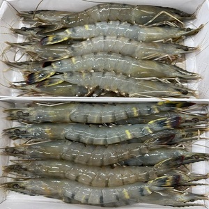 Best Quality Frozen Peeled LQF Headless Skinless Black Tiger Shrimp 12 Months <b>Shelf</b> Life <b>Box</b> <b>Box</b> Natural Color Fried Processing - Product Image 3
