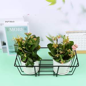 Support de fleurs suspendu pour balcon, en métal, pour balustrade, pour usage intérieur et extérieur, idéal pour la décoration - Product Image 4