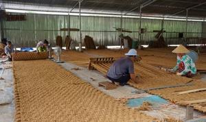 Rouleaux de tapis en fibre de coco 0,6x10m, écologiques, durables, tapis en palmier pour le camping, le pavage de sentiers, provenant d'une usine du Vietnam - Product Image 5