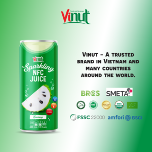 Botas de energía más vendidas de 330ml, bebida de jugo de Guanábana espumosa lista para enviar, fabricada en fábrica de Vietnam (OEM, ODM) - Product Image 4