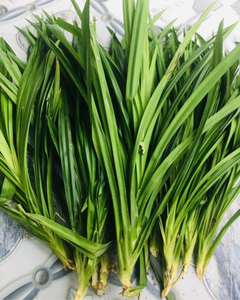 Hojas de Pandan de Alta Calidad – Hojas Naturalmente Aromáticas para Postres y Bebidas - Product Image 3