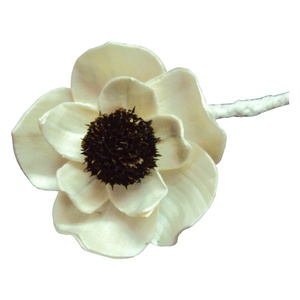 Handmade Sola Flower <b>Reed</b> <b>Diffuser</b> Stick Natural Handmade Sola Wood <b>Diffuser</b> Flower air Freshener - Product Image 1