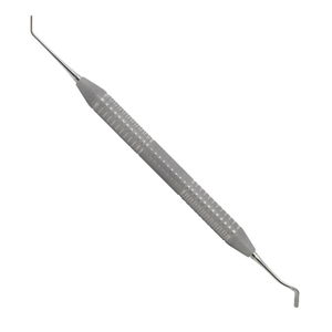 Instrument de remplissage dentaire en plastique No.2 Mini Goldstein, outil de placement composite en acier inoxydable pour restauration dentaire - Product Image 1