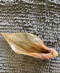 Friandises Premium pour Chiens à Base d'Oreilles de Buffle – Masticables Saines et Digestibles, Artisanat Naturel - Product Image 4