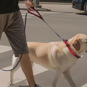 Laisse réfléchissante pour animaux de compagnie, sangle haute visibilité avec poignée confortable, clip métallique sécurisé pour les promenades nocturnes et les voyages - Product Image 2