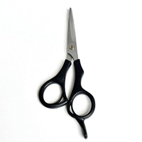 Ciseaux à cheveux droits de 5,25 pouces, ensemble de ciseaux de beauté en acier inoxydable VG10, lame polie miroir, pointe acérée, ergonomique pour droitiers, en plastique