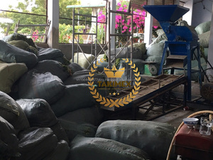 100% poudre d'algues organiques pures Ulva Lactuca/algues vertes pour la nourriture ou les huîtres d'ormeau de bétail fabriquées au Vietnam - Product Image 3