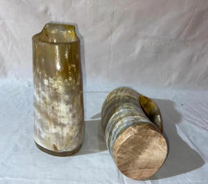 Tasse en corne de buffle naturelle de haute qualité avec poignée de haute qualité pour la bière vin hydromel/chope en corne à boire par FWE - Product Image 5