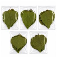 AQUA VRIKSHA Daun Dadap Kering Alami Premium (Daun Erythrina Variegata) | Bahan Baku Herbal, Potpourri | 11-15 cm | Paket isi 250