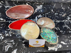 Natural Abalone Shell Eco-Friendly Polished Jewelry <b>Box</b> Angel Theme Vintage Shape <b>Trinket</b> Storage Wedding Home Business 99 GOLD - Product Image 2