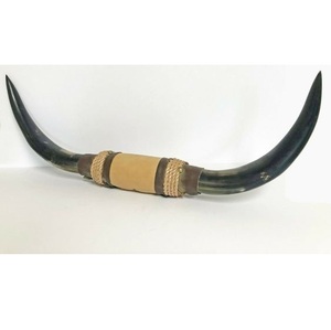Handmade <b>Buffalo</b> <b>Horn</b> Natural Shape Art Collectible Animal Theme Durable Craft Natural wall Decorative Ox <b>Horns</b> Pair - Product Image 5